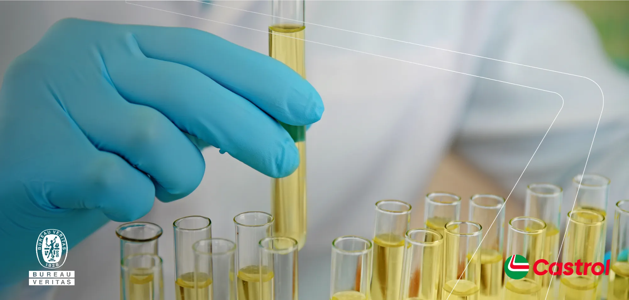 Laboratory Analysis